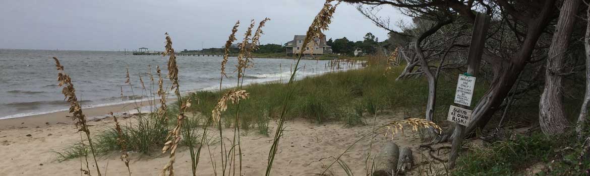 A view of a beach with grass and trees